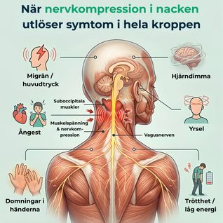 NeuroRelax™ Pro 2.0 – Nackmassage med TENS, EMS, Rödljus & Värme
